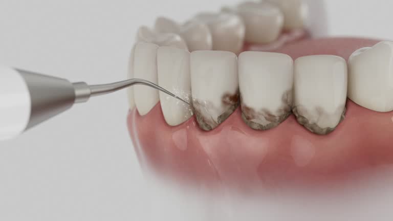 Reliable Dental contractor in Lockwood, MO by Dentist Open Now